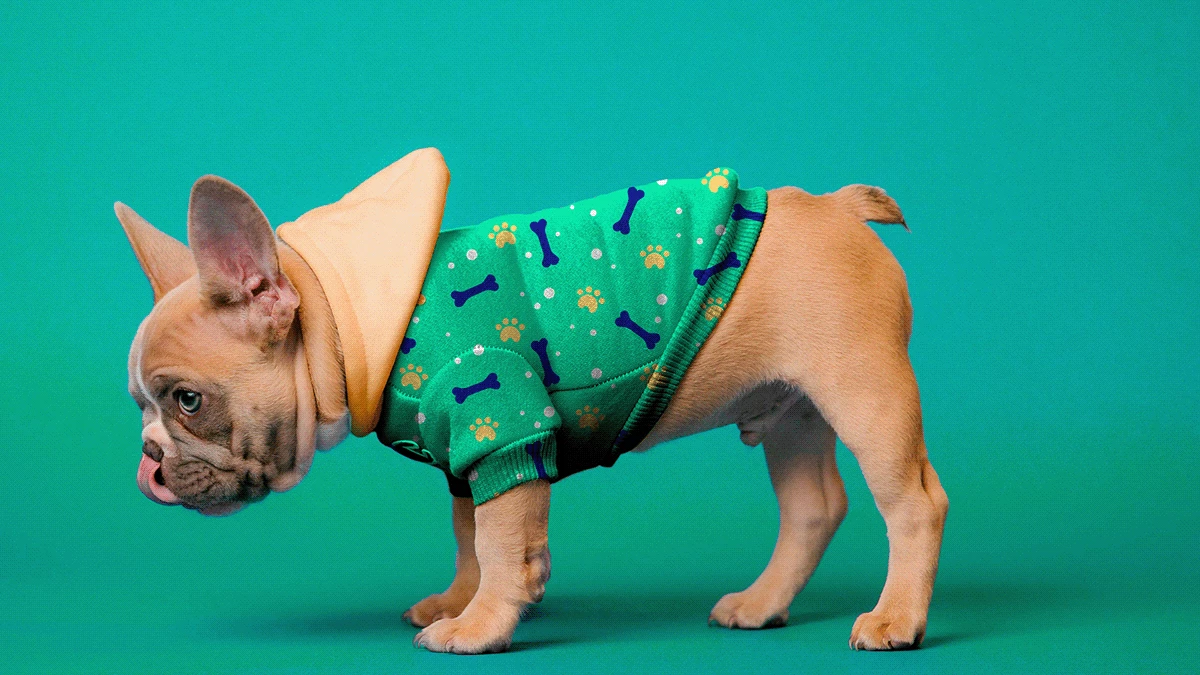 Cheap Lords & Labradors Store 19 Cheap Lords & Labradors Store -Cheap Lords & Labradors Store 98481