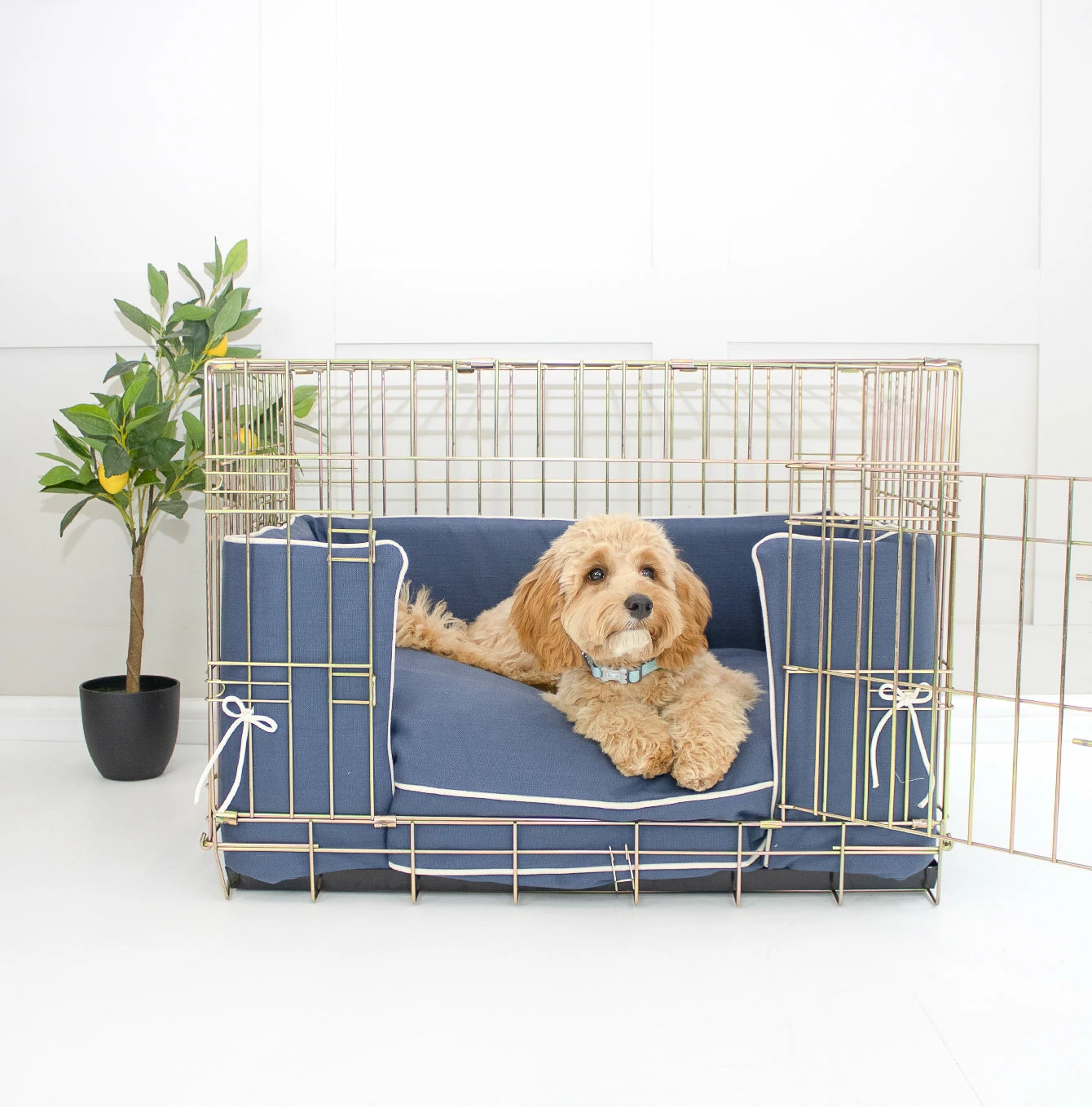 Cheap ⌛ Best reviews of 🔔 Personalised 🦮 🐶 Dog Cushion in Savanna Indigo by Lords & Labradors ❤️ ⌛ 4 Cheap ⌛ Best reviews of 🔔 Personalised 🦮 🐶 Dog Cushion in Savanna Indigo by Lords & Labradors ❤️ ⌛ - Image 4