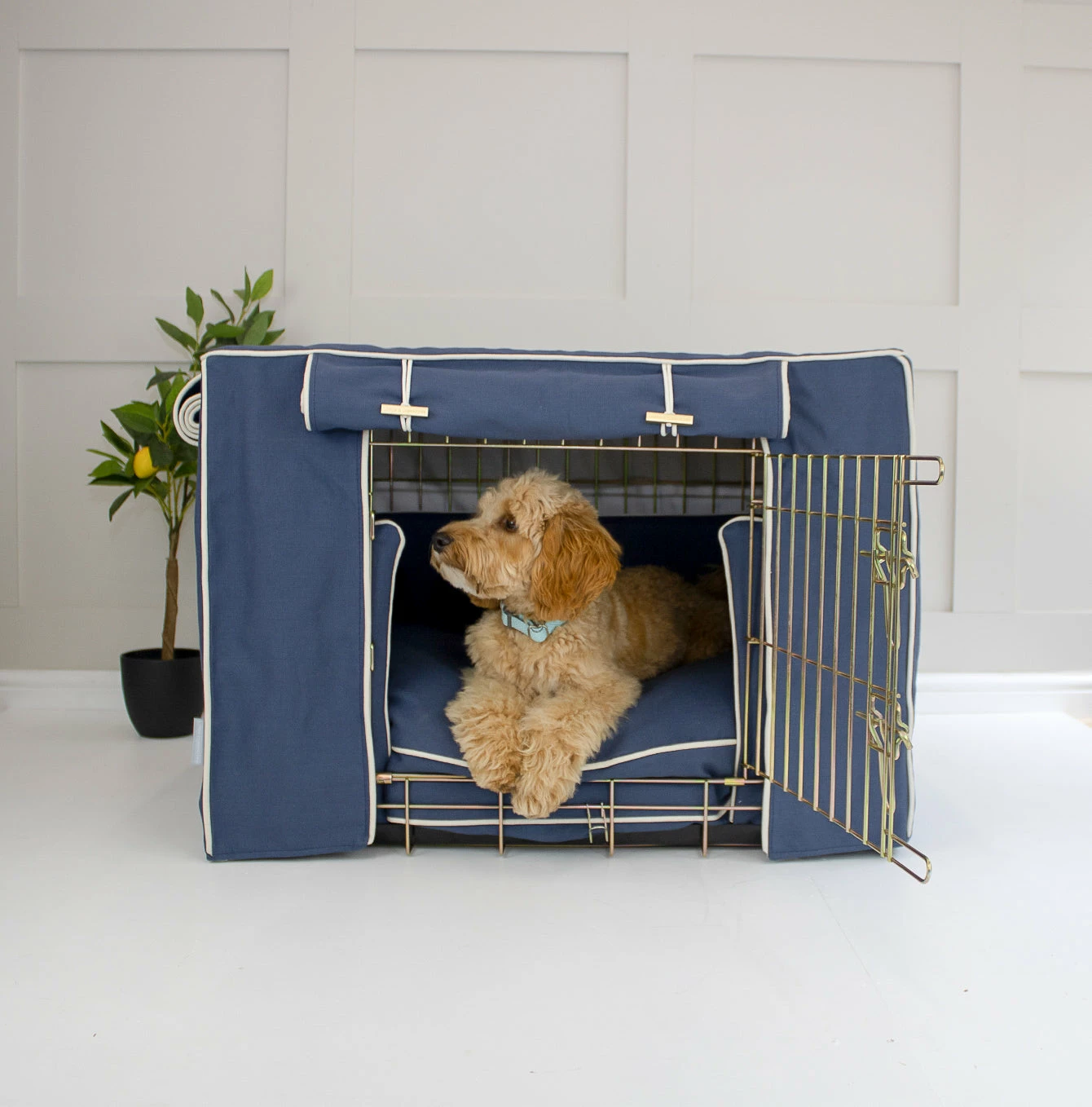 Cheap ⌛ Best reviews of 🔔 Personalised 🦮 🐶 Dog Cushion in Savanna Indigo by Lords & Labradors ❤️ ⌛ 5 Cheap ⌛ Best reviews of 🔔 Personalised 🦮 🐶 Dog Cushion in Savanna Indigo by Lords & Labradors ❤️ ⌛ - Image 5