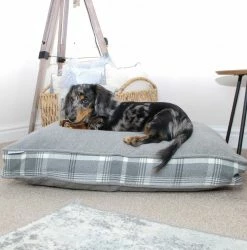 Flash Sale 👍 Coupon ✔️ 🐶 Dog Cushion in Balmoral Dove Grey Tweed by Lords & Labradors ⭐ 👏