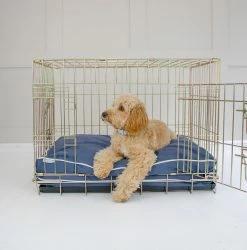 Cheap ⌛ Best reviews of 🔔 Personalised 🦮 🐶 Dog Cushion in Savanna Indigo by Lords & Labradors ❤️ ⌛ 7 Cheap ⌛ Best reviews of 🔔 Personalised 🦮 🐶 Dog Cushion in Savanna Indigo by Lords & Labradors ❤️ ⌛ -Cheap Lords & Labradors Store Cushion2 8821c439 83e4 4d1c a2ae 772b3aa30911