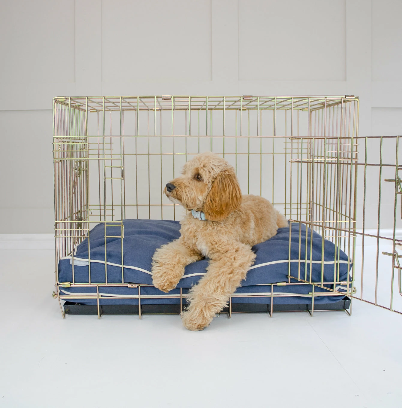 Cheap ⌛ Best reviews of 🔔 Personalised 🦮 🐶 Dog Cushion in Savanna Indigo by Lords & Labradors ❤️ ⌛ 3 Cheap ⌛ Best reviews of 🔔 Personalised 🦮 🐶 Dog Cushion in Savanna Indigo by Lords & Labradors ❤️ ⌛ - Image 3