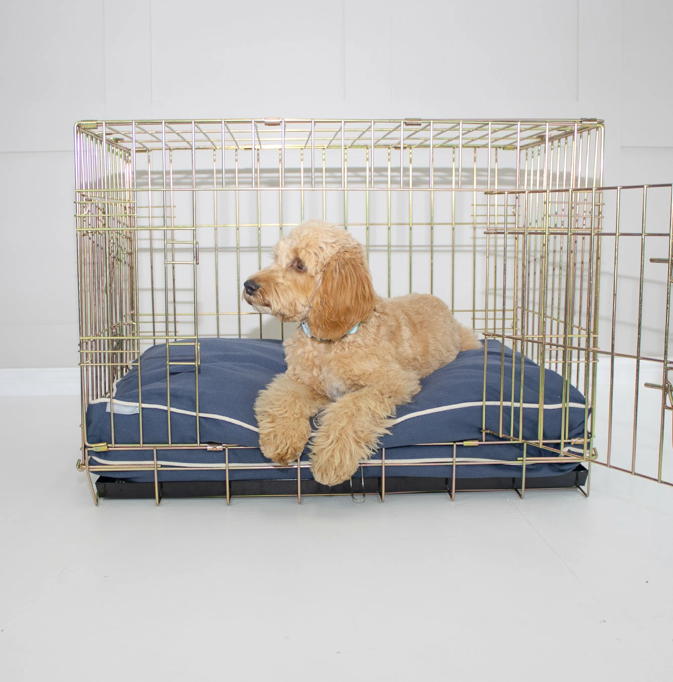 Cheap ⌛ Best reviews of 🔔 Personalised 🦮 🐶 Dog Cushion in Savanna Indigo by Lords & Labradors ❤️ ⌛ 2 Cheap ⌛ Best reviews of 🔔 Personalised 🦮 🐶 Dog Cushion in Savanna Indigo by Lords & Labradors ❤️ ⌛ - Image 2