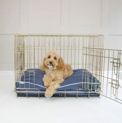 Cheap โ Best reviews of ๐ Personalised ๐ฆฎ ๐ถ Dog Cushion in Savanna Indigo by Lords & Labradors โค๏ธ โ