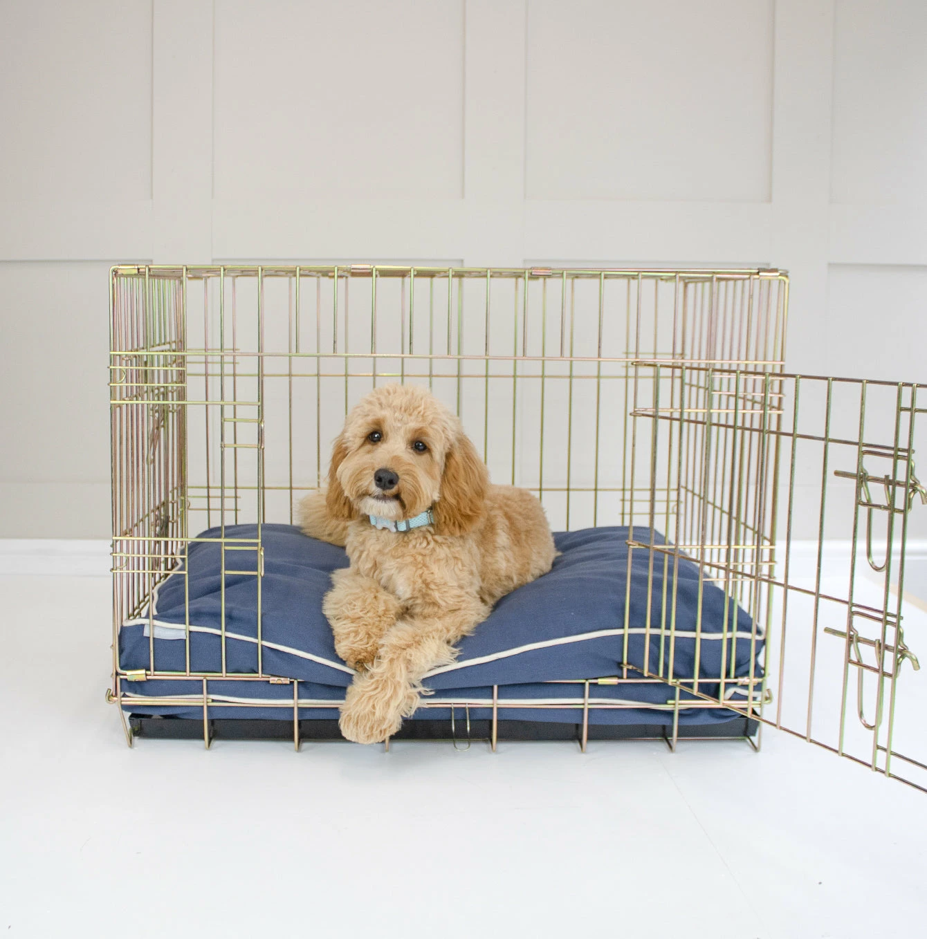 Cheap ⌛ Best reviews of 🔔 Personalised 🦮 🐶 Dog Cushion in Savanna Indigo by Lords & Labradors ❤️ ⌛ 1 Cheap ⌛ Best reviews of 🔔 Personalised 🦮 🐶 Dog Cushion in Savanna Indigo by Lords & Labradors ❤️ ⌛