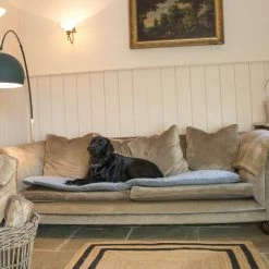 Best reviews of 🥰 Coupon ✨ Lords & Labradors Luxury Velvet Sofa Topper 🎁 🥰 -Cheap Lords & Labradors Store Elephant sofa topper