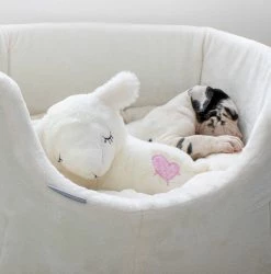 New 😀 Brand new ✔️ White Grow With Me Puppy Bed By Lords & Labradors 🤩 🔥 -Cheap Lords & Labradors Store Growwithme Lamb2
