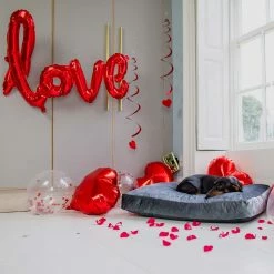 Wholesale 🛒 Wholesale 🔥 Lords & Labradors Luxurious Velvet 🦮 🐕 Dog Cushions 😉 😀 -Cheap Lords & Labradors Store Luxurious Velvet Dog Cushions Elephant