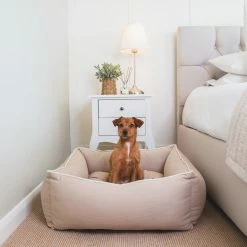 Best reviews of 👍 Outlet 🤩 Lords & Labradors Savanna Box Bed For 🦮 🐕 Dogs 😉 ❤️