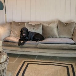Best reviews of 🥰 Coupon ✨ Lords & Labradors Luxury Velvet Sofa Topper 🎁 🥰 -Cheap Lords & Labradors Store Mink sofa topper 3