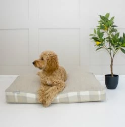 Discount 🤩 Deals 😍 🦮 Dog Cushion in Balmoral Natural Tweed by Lords & Labradors 🎁 🧨 -Cheap Lords & Labradors Store Natural a3cf561e 7944 45bf b025 d7f9cc4b4eb5