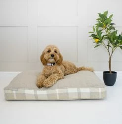 Discount 🤩 Deals 😍 🦮 Dog Cushion in Balmoral Natural Tweed by Lords & Labradors 🎁 🧨 -Cheap Lords & Labradors Store Neutral