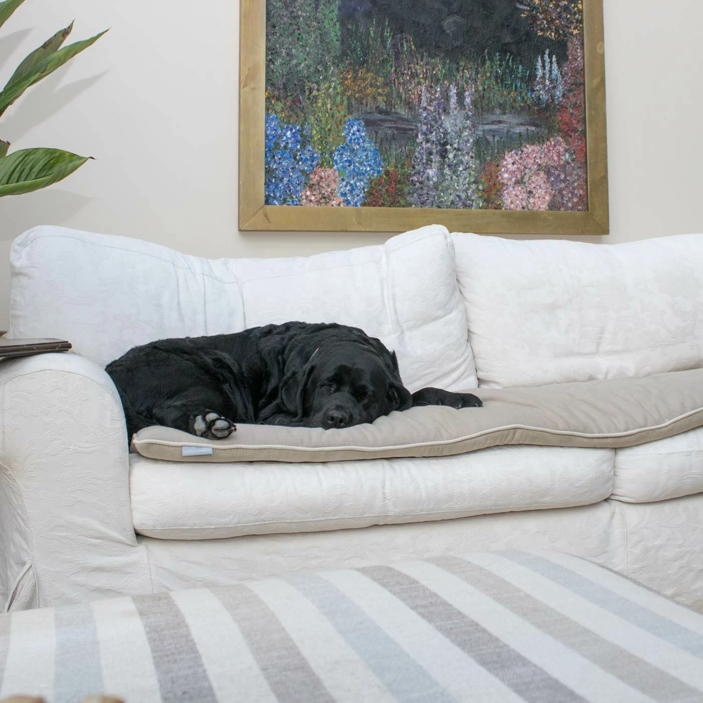 Coupon ๐ Hot Sale ๐ฏ Lords & Labradors Luxury Savanna Sofa Topper ๐ฏ โญ 10 Coupon ๐ Hot Sale ๐ฏ Lords & Labradors Luxury Savanna Sofa Topper ๐ฏ โญ - Image 10