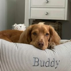 Coupon 🧨 Wholesale ❤️ Lords & Labradors Personalised Box Bed For 🐕 🦮 Dogs - Spots & Stripes Collection 🧨 🔔 -Cheap Lords & Labradors Store Personalised Box Bed For Dogs Spots Stripes Collection 2