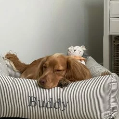 Coupon 🧨 Wholesale ❤️ Lords & Labradors Personalised Box Bed For 🐕 🦮 Dogs - Spots & Stripes Collection 🧨 🔔 -Cheap Lords & Labradors Store Personalised Box Bed For Dogs Spots Stripes Collection 3