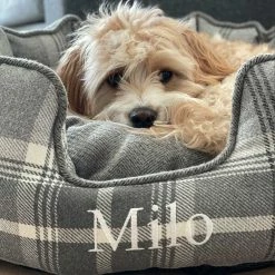 Deals 😍 Buy 🛒 Lords & Labradors Personalised High Wall Neutral Tweed Bed For 🐕 🐕 Dogs 🤩 😉 -Cheap Lords & Labradors Store Personalised High Wall Neutral Tweed Bed For Dogs 3