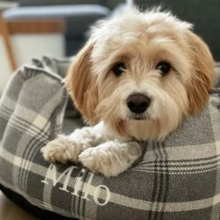 Deals 😍 Buy 🛒 Lords & Labradors Personalised High Wall Neutral Tweed Bed For 🐕 🐕 Dogs 🤩 😉 -Cheap Lords & Labradors Store Personalised High Wall Neutral Tweed Bed For Dogs ebbf0a6d 4780 4747 a183 57737541fa5d