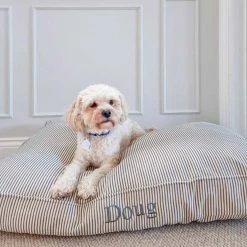 Best reviews of โค๏ธ Cheap โค๏ธ Personalised ๐ ๐ Dog Cushion in Regency Stripe by Lords & Labradors โ ๐ 9 Best reviews of โค๏ธ Cheap โค๏ธ Personalised ๐ ๐ Dog Cushion in Regency Stripe by Lords & Labradors โ ๐ -Cheap Lords & Labradors Store Regency Stripe Cushion 3