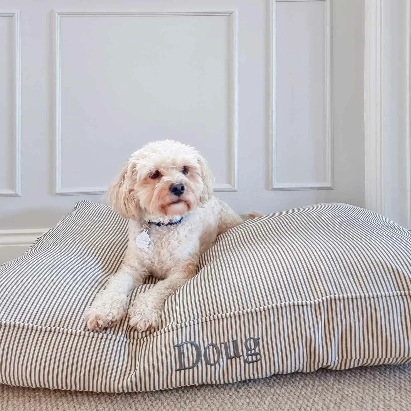 Best reviews of โค๏ธ Cheap โค๏ธ Personalised ๐ ๐ Dog Cushion in Regency Stripe by Lords & Labradors โ ๐ 3 Best reviews of โค๏ธ Cheap โค๏ธ Personalised ๐ ๐ Dog Cushion in Regency Stripe by Lords & Labradors โ ๐ - Image 3