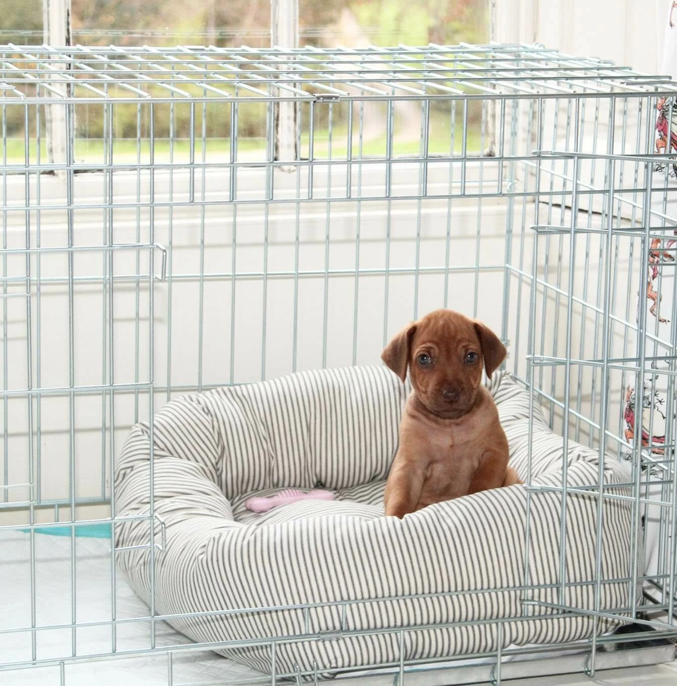 Cheap 🔔 Coupon 👏 🐕 Dog Crate with Cosy & Calm Puppy Bed Set By Lords & Labradors 🔔 🔥 1 Cheap 🔔 Coupon 👏 🐕 Dog Crate with Cosy & Calm Puppy Bed Set By Lords & Labradors 🔔 🔥