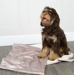 Cheap 💯 Deals 💯 🐕 Dog & Puppy Blanket in Zinc Velvet By Lords & Labradors 🌟 😍 -Cheap Lords & Labradors Store Rosegoldzinc3 eccf53a2 961e 408c 8aaf 659abc21ed35