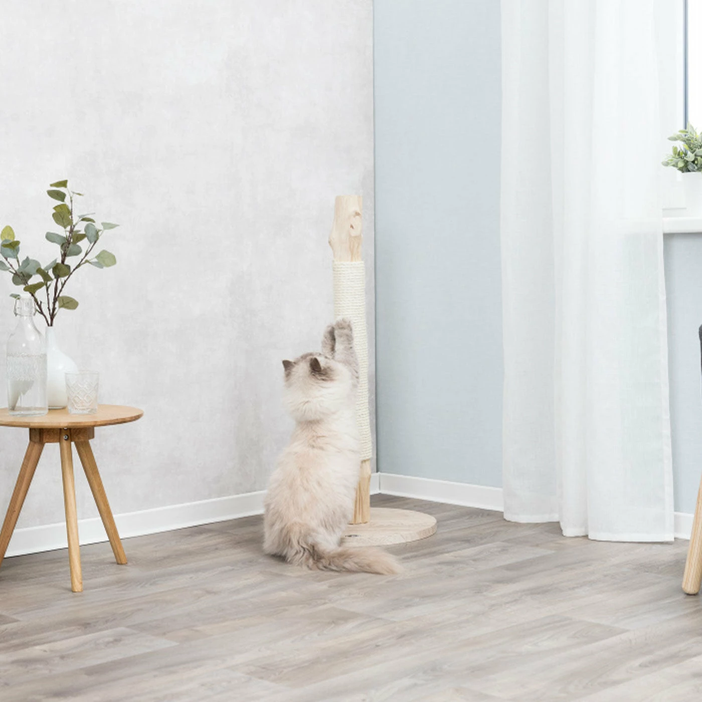 Deals ๐ Promo โจ Trixie Natural Wood Cat Scratching Post โค๏ธ โค๏ธ 1 Deals ๐ Promo โจ Trixie Natural Wood Cat Scratching Post โค๏ธ โค๏ธ