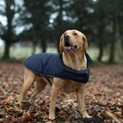 Cheap 🔥 Discount ⭐ Barbour Baffle Quilt 🐶 🐶 Dog 🧥 🧥 Coat 🔥 🥰 -Cheap Lords & Labradors Store barbour baffle quilt coat in navy labrador forest