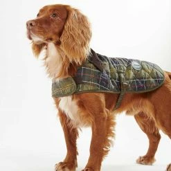 Cheap Lords & Labradors Store 17 Outlet ๐ Brand new ๐คฉ Barbour Tartan ๐ฆฎ ๐ฆฎ Dog ๐งฅ ๐งฅ Coat ๐ โญ
