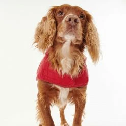 Cheap 🔥 Discount ⭐ Barbour Baffle Quilt 🐶 🐶 Dog 🧥 🧥 Coat 🔥 🥰 -Cheap Lords & Labradors Store barbour luxury baffle quilt dog coat 8