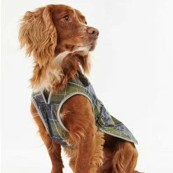 New 👍 Wholesale 🎉 Barbour Waterproof Tartan 🐶 🐶 Dog 🧥 🧥 Coat 👍 🤩 -Cheap Lords & Labradors Store barbour waterproof tartan dog coat 5