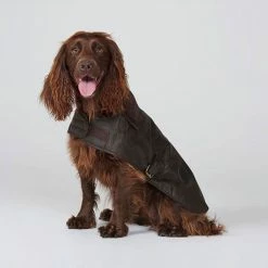 Wholesale 🤩 Coupon 🤩 Barbour Wax 🐕 🦮 Dog 🧥 🧥 Coat ⭐ ❤️ 14 Wholesale 🤩 Coupon 🤩 Barbour Wax 🐕 🦮 Dog 🧥 🧥 Coat ⭐ ❤️ -Cheap Lords & Labradors Store barbour wax dog coat olive 2