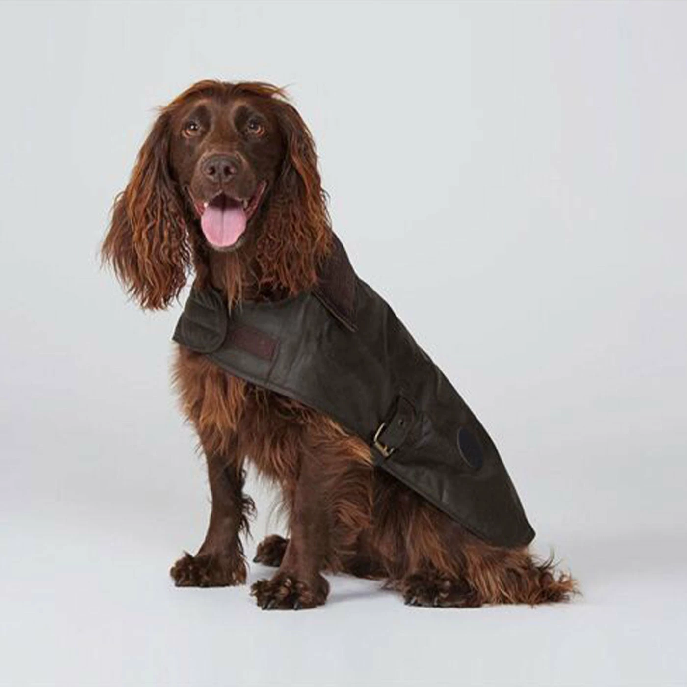 Wholesale 🤩 Coupon 🤩 Barbour Wax 🐕 🦮 Dog 🧥 🧥 Coat ⭐ ❤️ 7 Wholesale 🤩 Coupon 🤩 Barbour Wax 🐕 🦮 Dog 🧥 🧥 Coat ⭐ ❤️ - Image 7