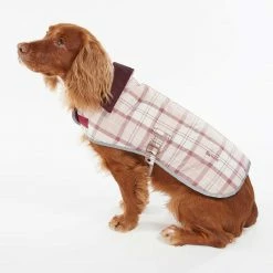 Flash Sale 🎉 Flash Sale 😍 Barbour Wetherham 🐶 🦮 Dog 🧥 🧥 Coat 🎉 🥰