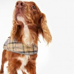 Flash Sale 🎉 Flash Sale 😍 Barbour Wetherham 🐶 🦮 Dog 🧥 🧥 Coat 🎉 🥰 -Cheap Lords & Labradors Store barbour wetherham coat dress tartan