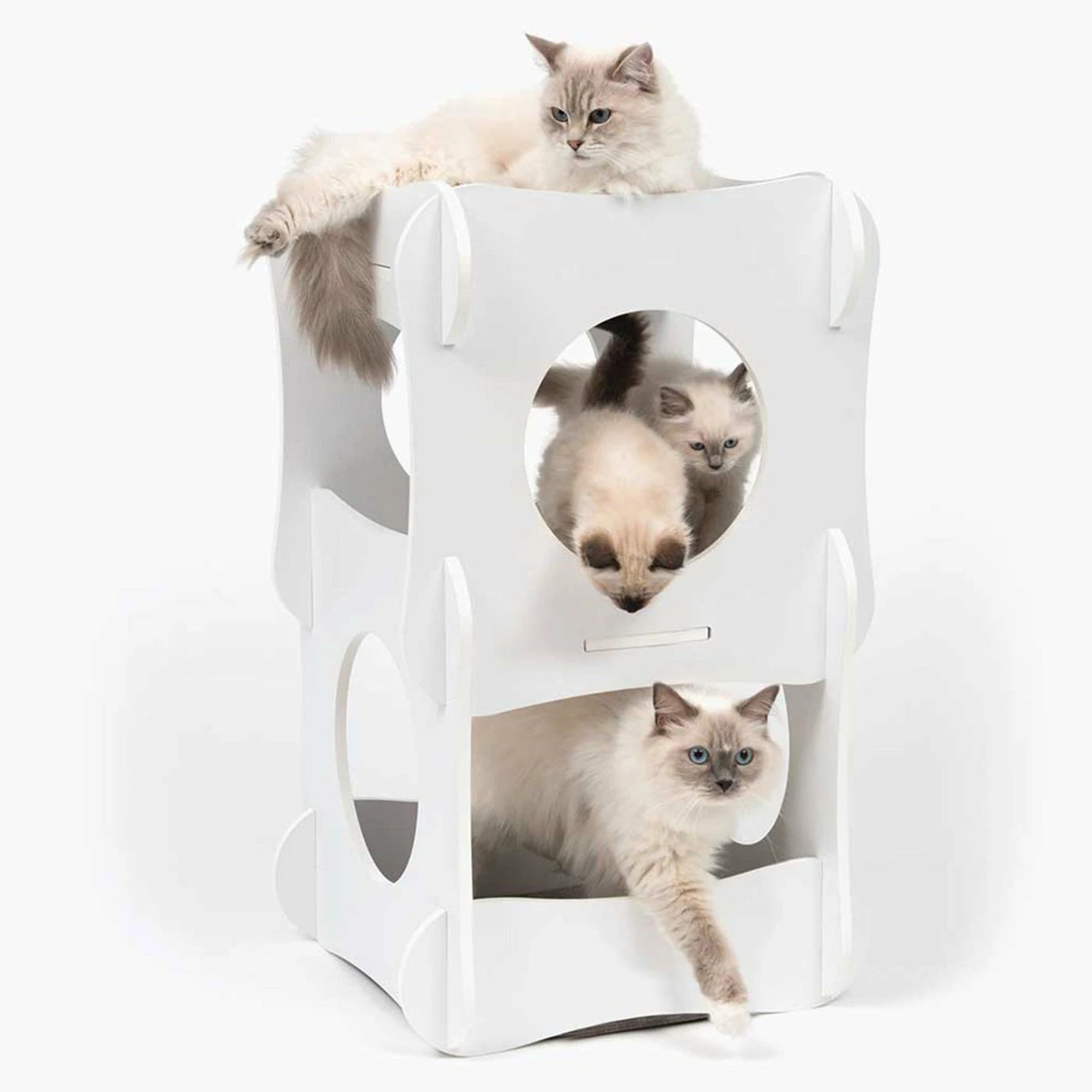 Best deal ๐ Buy ๐คฉ Catit Vesper Condo Tower ๐ ๐ฅ 1 Best deal ๐ Buy ๐คฉ Catit Vesper Condo Tower ๐ ๐ฅ