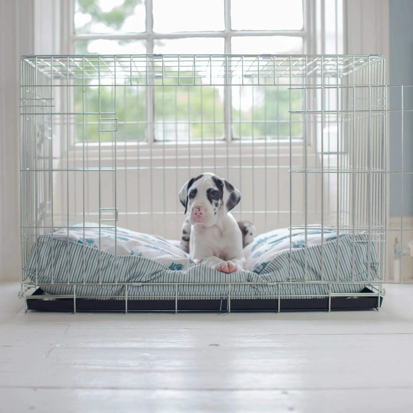 Best Sale ๐ Brand new ๐ ๐ Dog Cushion in Central Park by Lords & Labradors โญ โจ 2 Best Sale ๐ Brand new ๐ ๐ Dog Cushion in Central Park by Lords & Labradors โญ โจ - Image 2