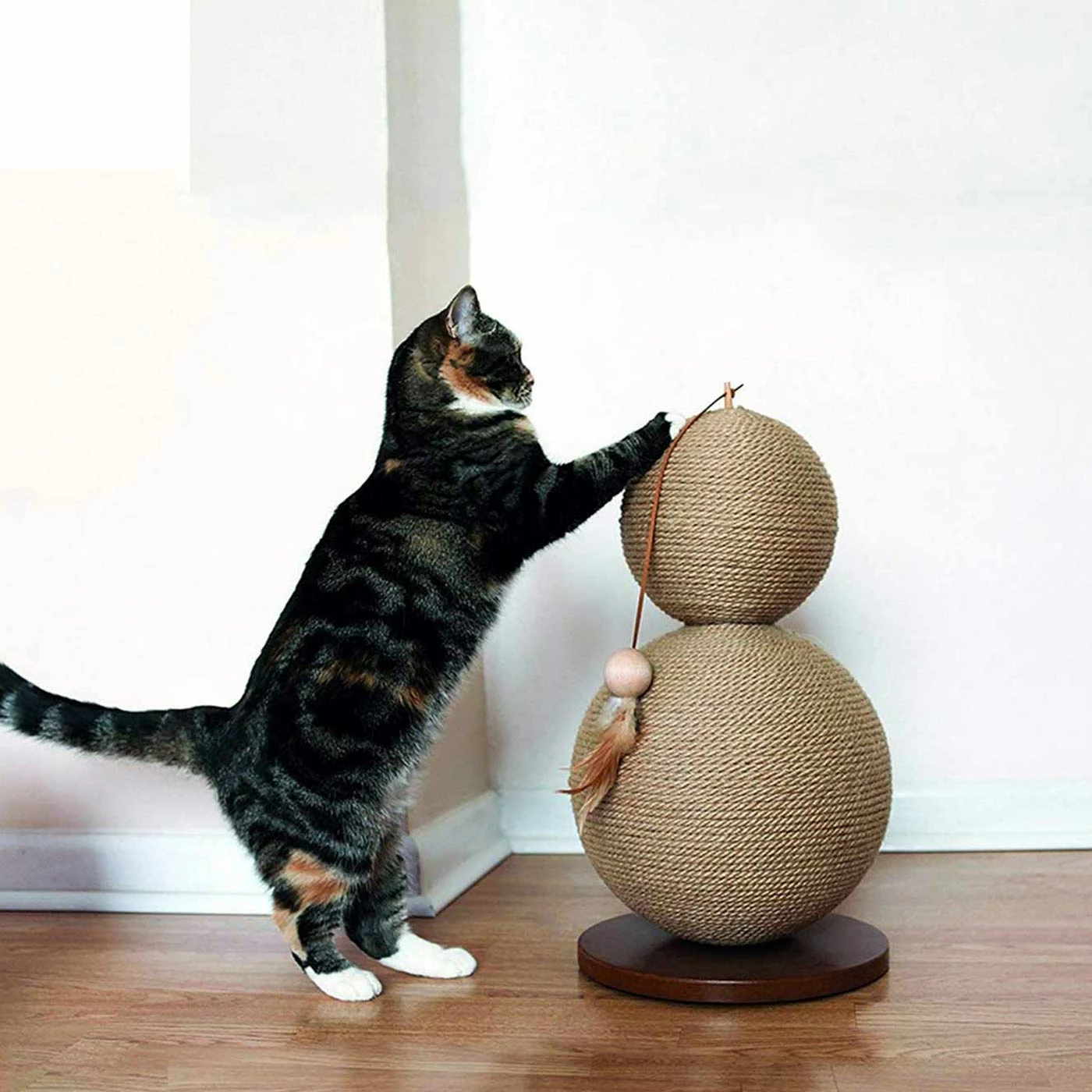 Coupon ๐งจ Deals ๐คฉ Rosewood Coriander Scratch Post ๐ ๐ 1 Coupon ๐งจ Deals ๐คฉ Rosewood Coriander Scratch Post ๐ ๐