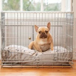 Best Pirce 🔔 Hot Sale 🌟 🐶 Dog Cushion in Cosmopolitan 🐕 🐶 Dog by Lords & Labradors 😉 👍