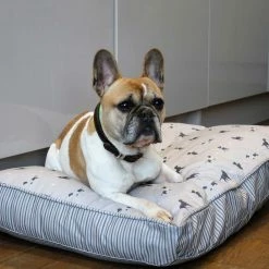 Best Pirce 🔔 Hot Sale 🌟 🐶 Dog Cushion in Cosmopolitan 🐕 🐶 Dog by Lords & Labradors 😉 👍 -Cheap Lords & Labradors Store cosmopolitan dog cushion lifestyle