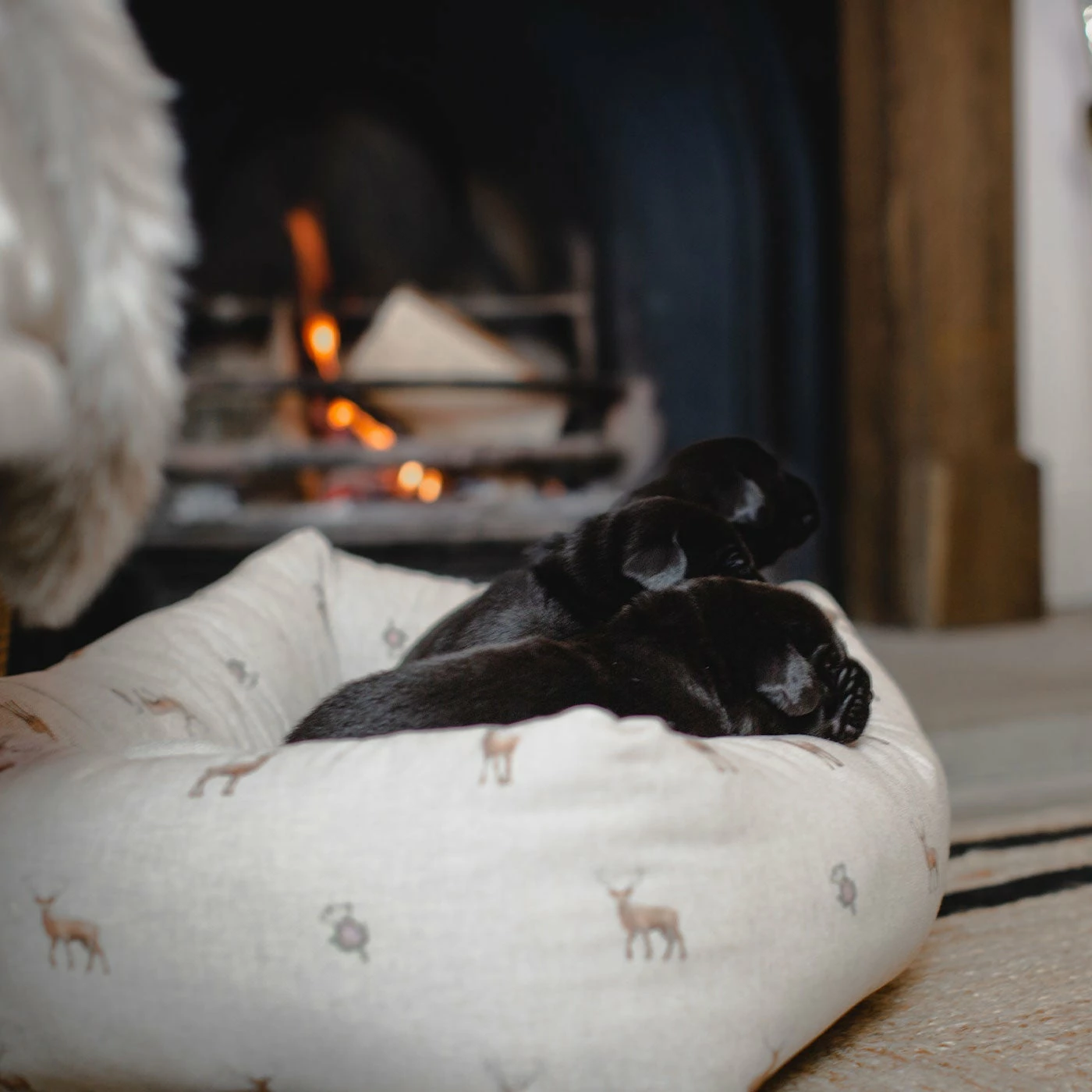 Discount โ Promo ๐ Lords & Labradors Personalised Cosy & Calm Puppy Box Bed - Woodlands Collection ๐ฏ ๐ 2 Discount โ Promo ๐ Lords & Labradors Personalised Cosy & Calm Puppy Box Bed - Woodlands Collection ๐ฏ ๐ - Image 2