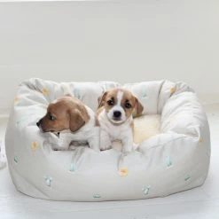 Best Sale 🔔 Coupon 😉 Lords & Labradors Cosy & Calm Puppy Box Bed 😉 😉 -Cheap Lords & Labradors Store cosy calm puppy box bed cactus