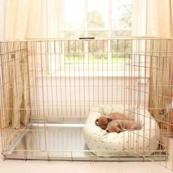 Best Sale 🔔 Coupon 😉 Lords & Labradors Cosy & Calm Puppy Box Bed 😉 😉 -Cheap Lords & Labradors Store cosy calm puppy box bed honey bee crate