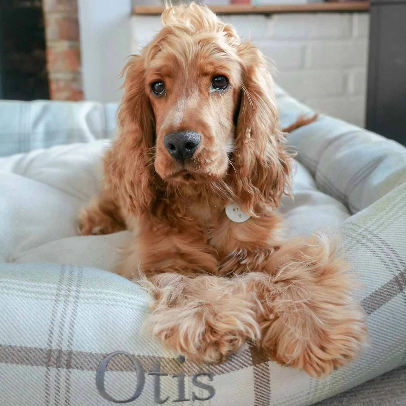 Outlet ๐ Brand new โค๏ธ Lords & Labradors Cosy Tweed Box Bed For ๐ ๐ Dogs ๐ ๐ 2 Outlet ๐ Brand new โค๏ธ Lords & Labradors Cosy Tweed Box Bed For ๐ ๐ Dogs ๐ ๐ - Image 2