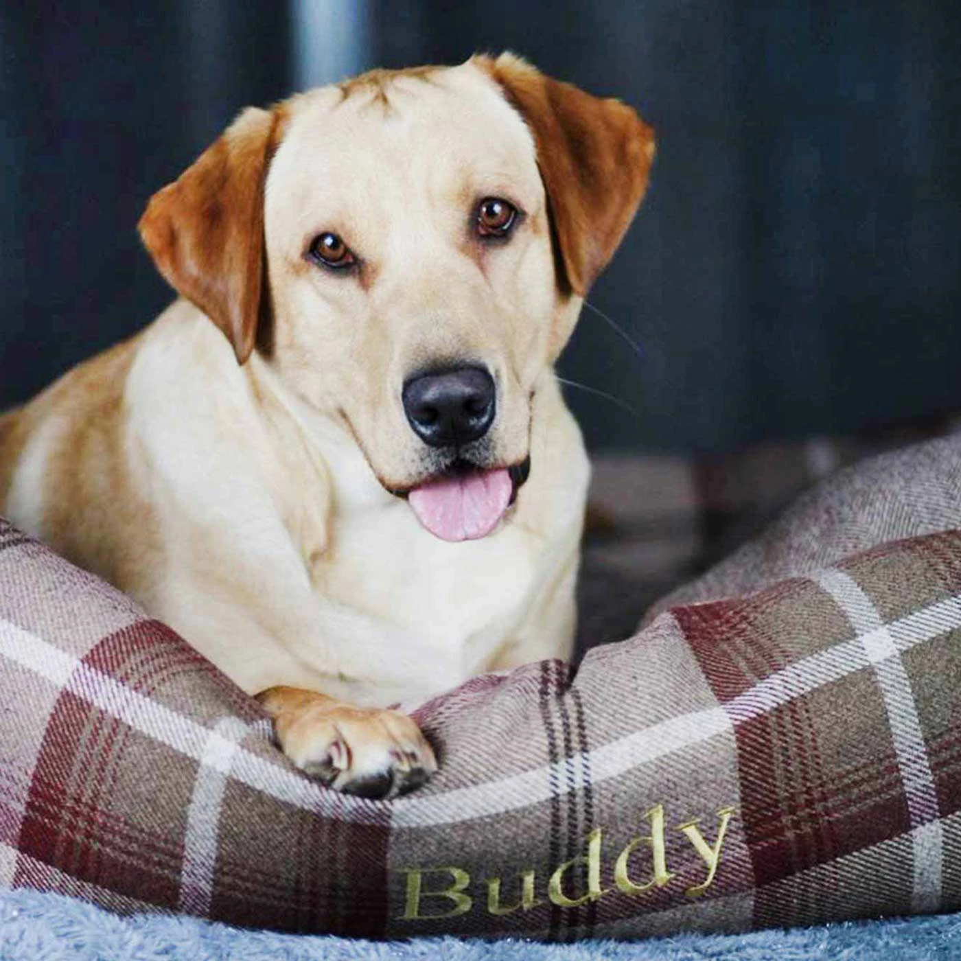 Outlet ๐ Brand new โค๏ธ Lords & Labradors Cosy Tweed Box Bed For ๐ ๐ Dogs ๐ ๐ 8 Outlet ๐ Brand new โค๏ธ Lords & Labradors Cosy Tweed Box Bed For ๐ ๐ Dogs ๐ ๐ - Image 8