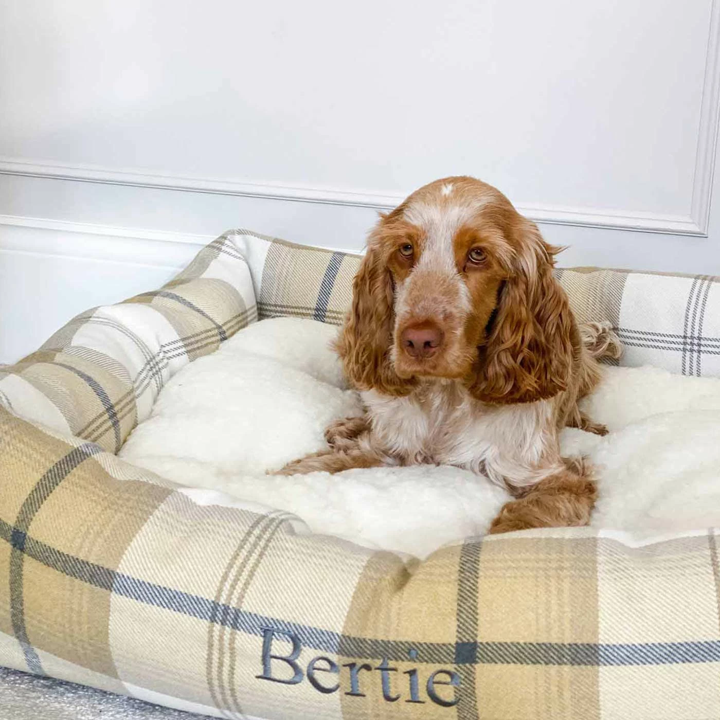 Outlet ๐ Brand new โค๏ธ Lords & Labradors Cosy Tweed Box Bed For ๐ ๐ Dogs ๐ ๐ 12 Outlet ๐ Brand new โค๏ธ Lords & Labradors Cosy Tweed Box Bed For ๐ ๐ Dogs ๐ ๐ - Image 12