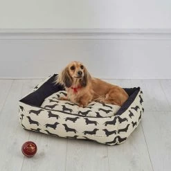 Top 10 ⭐ Best deal 🥰 Dachshund 🐕 🐶 Dog Bed By The Labrador Company - Size S-L 🔥 👏 7 Top 10 ⭐ Best deal 🥰 Dachshund 🐕 🐶 Dog Bed By The Labrador Company - Size S-L 🔥 👏 -Cheap Lords & Labradors Store dachshund dog bed by the labrador company brown