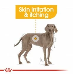 Best deal 👏 Top 10 ❤️ Royal Canin Maxi Adult Derma Comfort 🐕 🐶 Dog Food (10KG) 😀 🔔 -Cheap Lords & Labradors Store derma2 4002f69c 41ae 47de ae1c 18f95350df1c