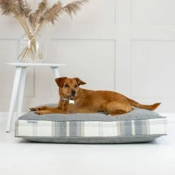 Discount 😉 Promo ⌛ 🐶 Dog Crate Set In Balmoral Charcoal Tweed By Lords & Labradors 🔥 🌟 14 Discount 😉 Promo ⌛ 🐶 Dog Crate Set In Balmoral Charcoal Tweed By Lords & Labradors 🔥 🌟 -Cheap Lords & Labradors Store dog crate set in balmoral charcoal tweed by lords labradors cushion