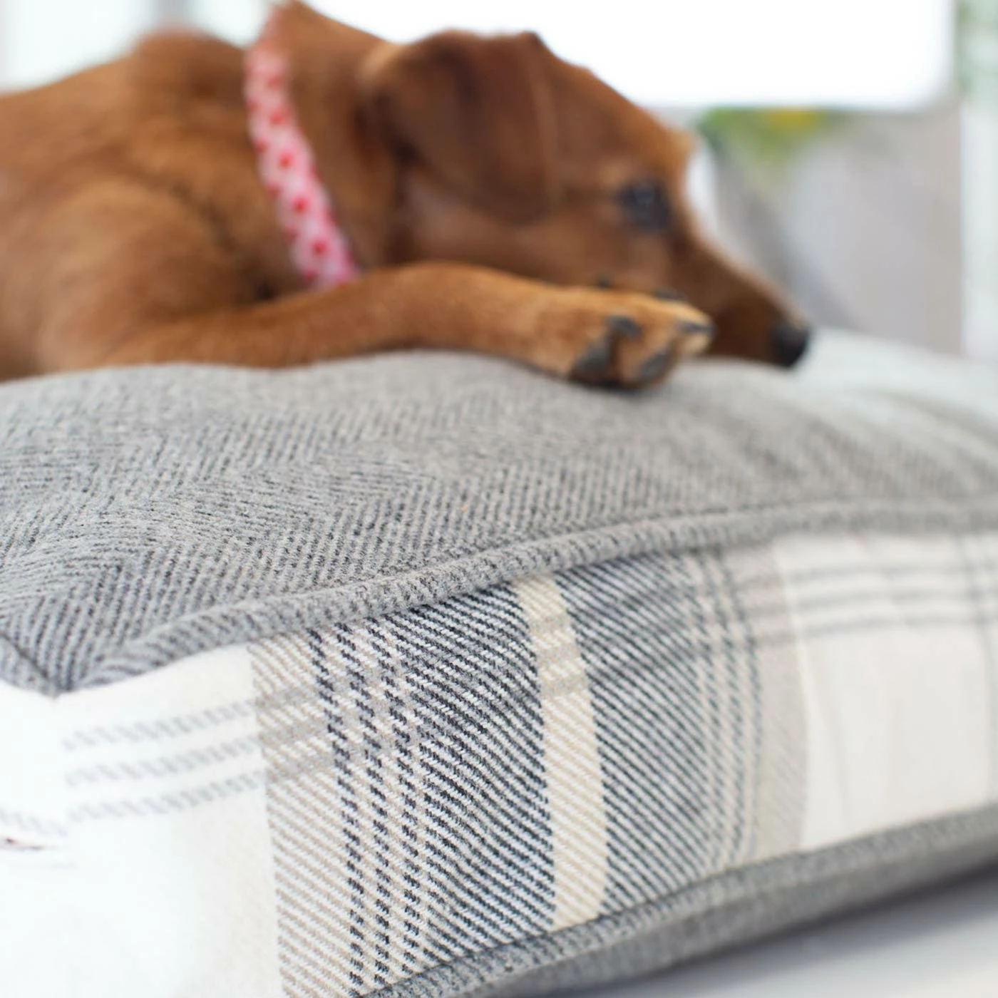 Discount 😉 Promo ⌛ 🐶 Dog Crate Set In Balmoral Charcoal Tweed By Lords & Labradors 🔥 🌟 2 Discount 😉 Promo ⌛ 🐶 Dog Crate Set In Balmoral Charcoal Tweed By Lords & Labradors 🔥 🌟 - Image 2