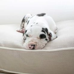 Brand new ⌛ Wholesale 🌟 🦮 Dog Crate with Savanna Cushion by Lords & Labradors 👏 🎉 12 Brand new ⌛ Wholesale 🌟 🦮 Dog Crate with Savanna Cushion by Lords & Labradors 👏 🎉 -Cheap Lords & Labradors Store dog crate with savanna cushion by lords labradors lifestyle